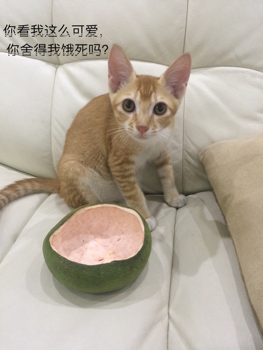 KY开元集团官网