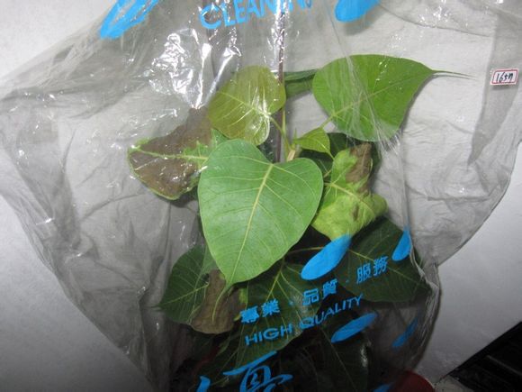 KY开元集团官网