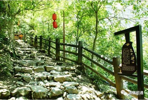 开元集团网站官网