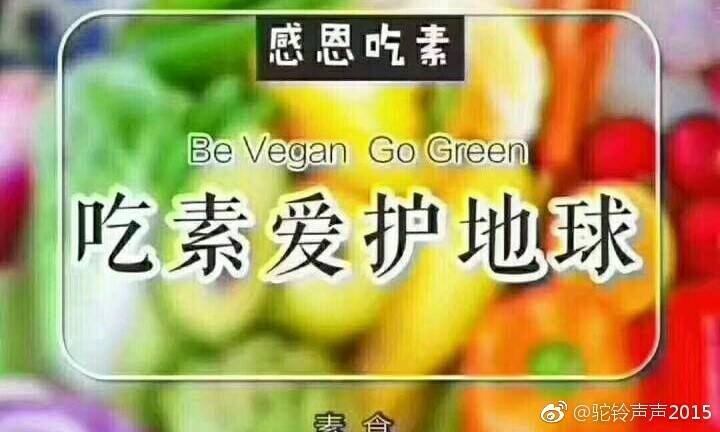 河南财大校园展会9岁了高校成为会展业人才培养重要基地|KY开元集团官网(图3) 开元集团网站官网