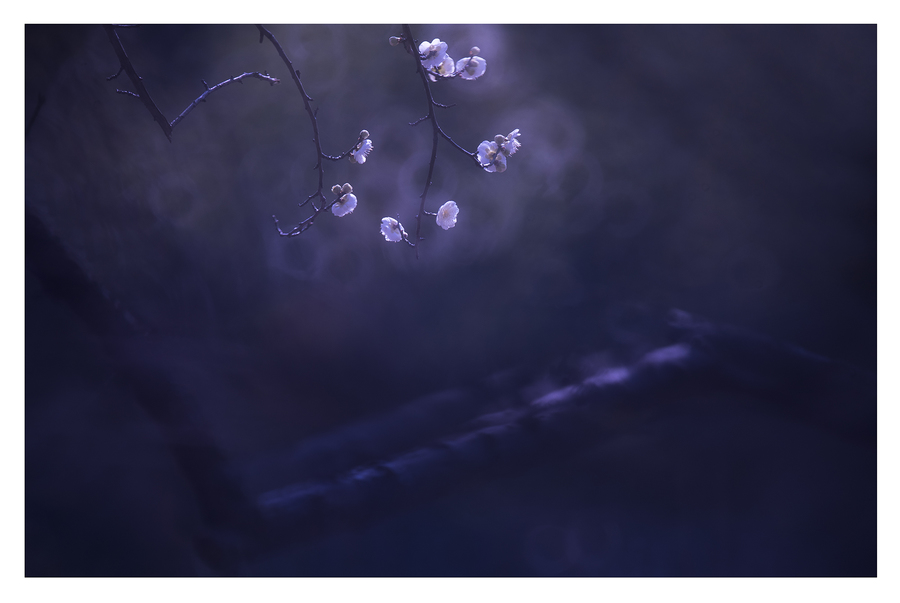 开元集团网站官网