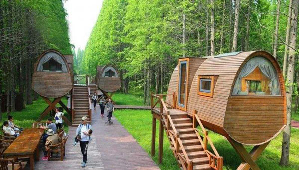 开元集团网站官网